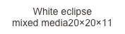 White eclipse
mixed media20×20×11 90×4590×4530×30×18cm
